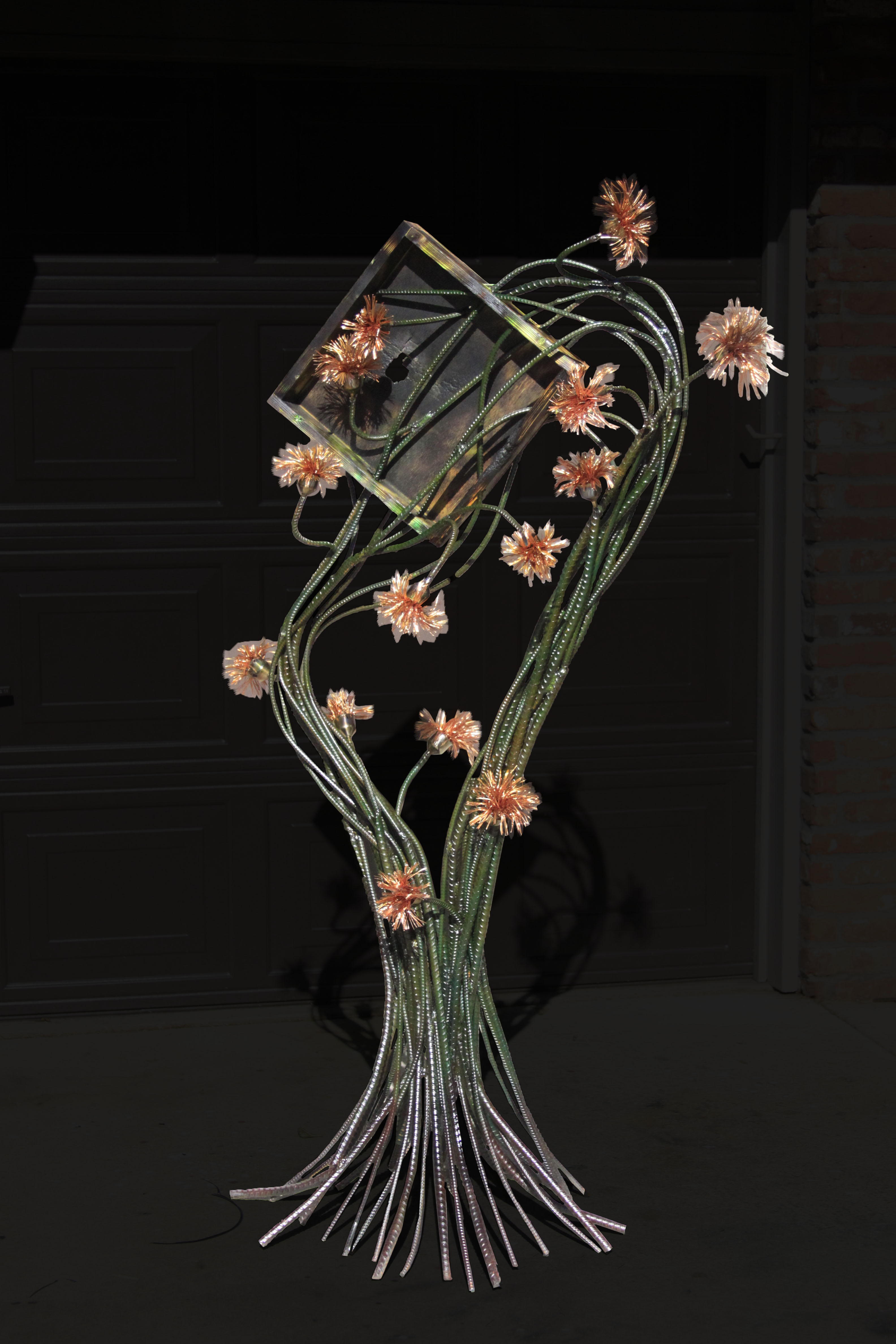 Beautiful  Flowers