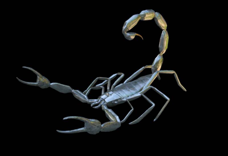Scorpion Replica