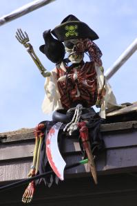Pirates Parrot
