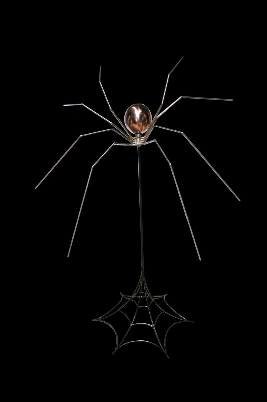 Spiders in the home